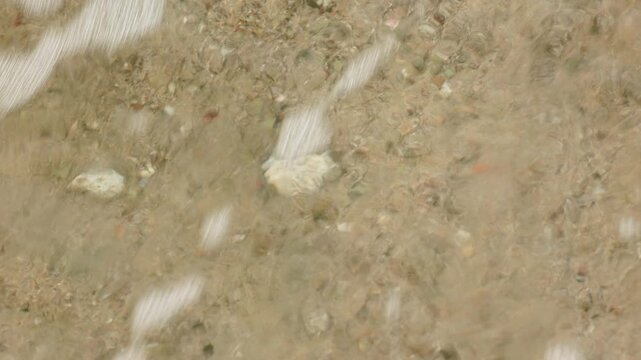 Crystal clear shallow water gently flows over sandy beach bottom with scattered seashells and colorful pebbles, creating beautiful light reflections and rippling patterns on a peaceful sunny day.