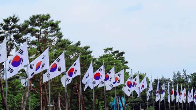 Peaceful Memorial Landscape of Daejeon National Cemetery, South Korea