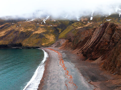 Aerial view of Brunavik beach featuring dark sand with orange seaweed patterns, steep volcanic cliffs, and misty mountains in Bakkagerdi, Mulathing, Iceland.