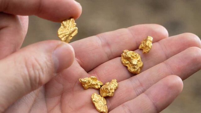 Close up of a miner's hand holding and inspecting a small, raw gold nugget, with several other valuable pieces resting in the palm, showcasing the success of prospecting and mining