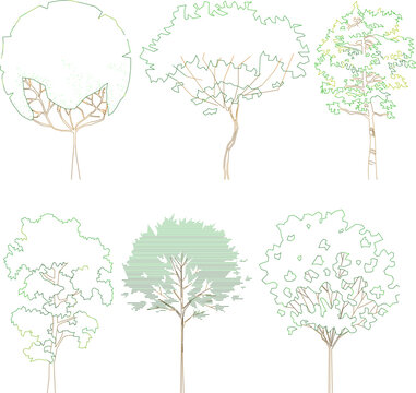 Architectural line art collection featuring stylized, two-dimensional elevation views of various deciduous and coniferous tree species for landscape design and site planning
