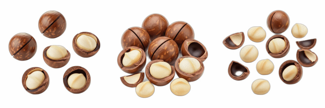 Macadamia Nuts Collection Isolated on White Background Organic Healthy Snacks for Culinary and Nutrition Design Projects High Quality PNG Assets for Commercial Food Photography and Packaging Branding 