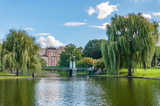 The Beautiful Boston Common on an Autumn Day, MA