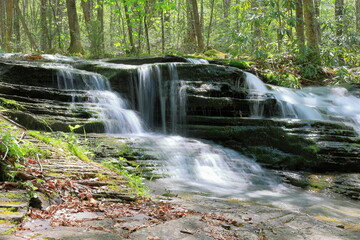 Water cascades over a stepped waterfall in a forest scene © John
