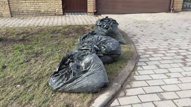 Black garbage bags on lawn, piled along cobblestone path under small tree by cottage, overflowing plastic sacks with yard waste