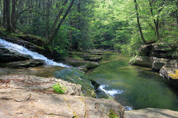 Water cascades into a peaceful river pool in a beautiful forest setting © John