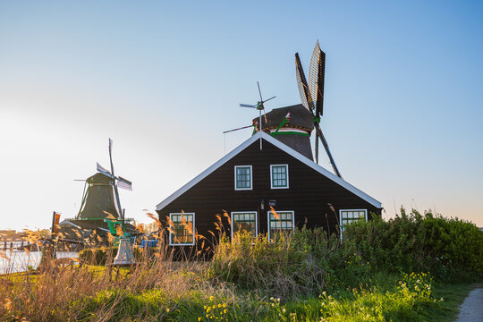 Traditional dutch houses and historic windmills in zaanse schans at sunset, scenic holland landscape with wooden cottage facade, water canal and rural reed grass