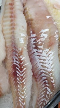 Frozen cod fillets on ice, closeup of layered white flesh with ice crystals and salt glaze, retail seafood counter display