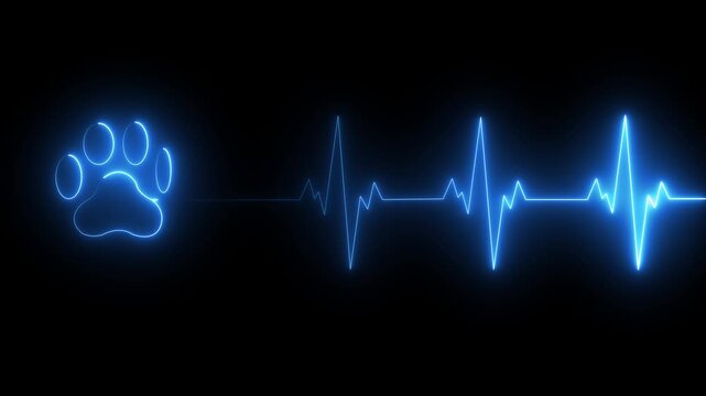 Neon heart beat line animation video abstract neon icon animation love heartbeat animation. Abstract neon heartbeat and pulse rate signal.neon glowing heart silhouette with a soft pulsing animation.