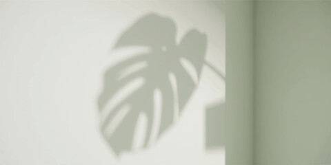 Monstera leaf shadow on a light green wall with monstera minimalist aesthetic botanical background interior sunlight tropical abstract silhouette casement lighting wellness lifestyle © jr graphics