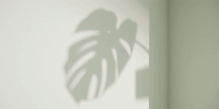 Monstera leaf shadow on a light green wall with monstera minimalist aesthetic botanical background interior sunlight tropical abstract silhouette casement lighting wellness lifestyle
