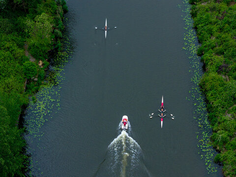 Warsaw, Poland - 31 May 2026: Aerial view of rowers in sculling boats and a motorboat navigating the Kanal Zeranski with lush green banks and lily pads.