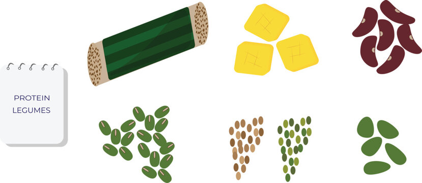 High protein legumes collection flat vector illustration set with tempe, tofu, red beans, mung beans, lentils, edamame for vegan nutrition
