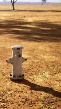 A fire hydrant is positioned in a dry, cracked landscape. The ground is brown and dusty, showing signs of drought. Sparse trees are visible in the distance under clear skies.