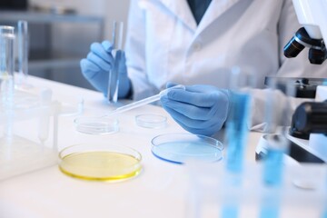 Fototapeta premium Laboratory testing. Scientist with test tube dripping sample into Petri dish at white table indoors, closeup