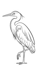 Elegant white crane bird standing gracefully. © joni