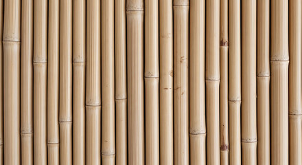 Naklejka premium Close up of bamboo sticks with green and brown colors in vertical pattern