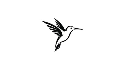 Obraz premium Black and White Hummingbird in Flight 2.