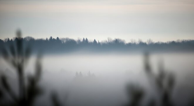 Misty Morning Landscape - Serene Lake and Forest Silhouette in Soft Focus.