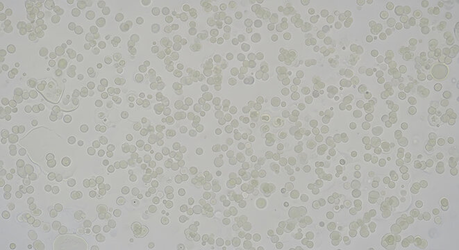 Microscopic view of bacteria and microorganisms in light green and gray colors