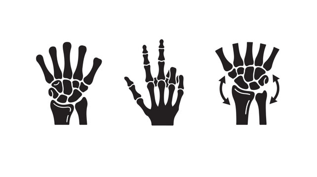 Anatomical Human Hand Bones Illustrations For Medical Education Concepts