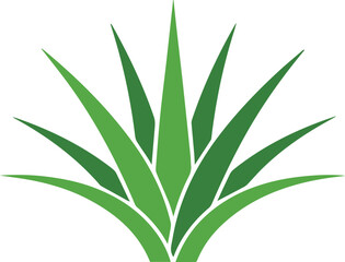 Fototapeta premium Agave silhouette for spirits label and packaging