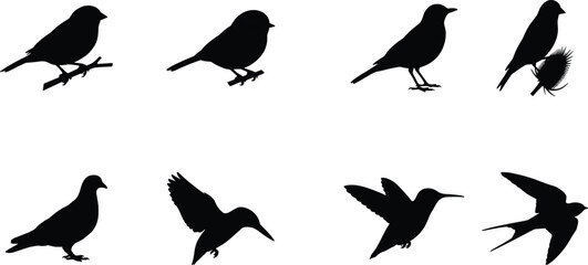 Obraz premium Bird Silhouette Collection Featuring Songbirds Dove Hummingbird Swallow and Perched Birds Vector Set