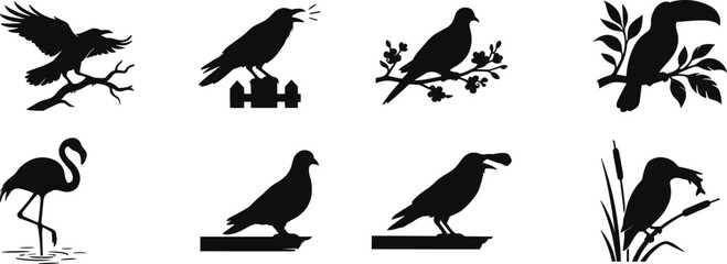 Fototapeta premium Black Bird Silhouette Collection Set with Crow Toucan Flamingo Pigeon Kingfisher and Perched Wild Birds Vector
