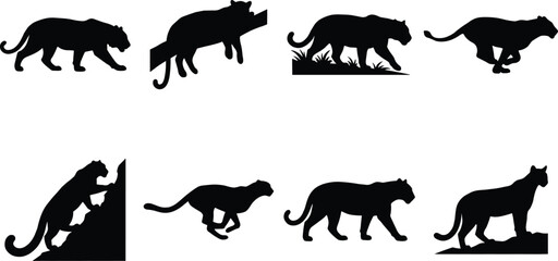 Collection of wild big cat silhouettes including panther leopard and cheetah in various poses like running walking and climbing © Sree