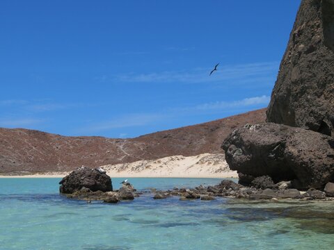 famous Balandra beach in La Paz, Baja California Sur, Mexico