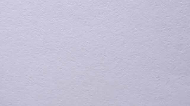 This minimalist and elegant background is perfect for overlays, graphic design backgrounds, text, animations, digital invitations, and other creative projects that require a clean, organic feel.