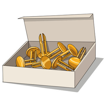 Gold Brass Fasteners in Box Vector Illustration