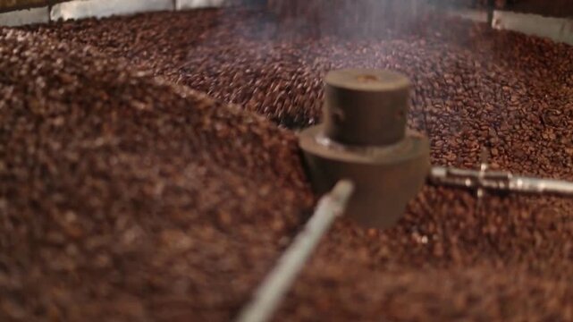 coffee beans in a sack
