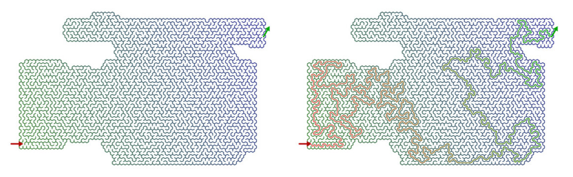 Maze pattern in camera shape with hexagonal design elements  