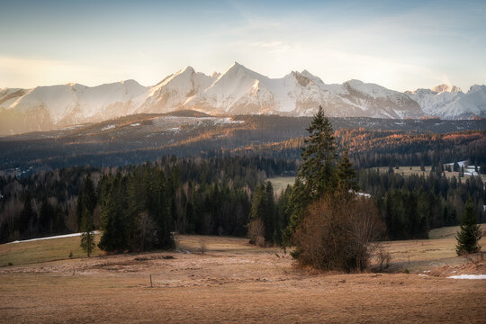 View of the snow-capped Tatra Mountains peaks rising above a dense evergreen forest and a dry grassy field during golden hour Brzegi, Wojewodztwo malopolskie, Poland.