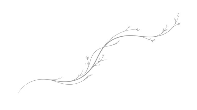 Vine grows in a delicate floral shape.