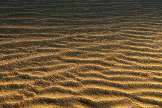 View of golden sand ripples with deep shadows at the Dunas de Maspalomas in Maspalomas, Canary Islands, Spain.