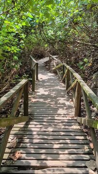 Senderos, naturaleza y playas del parque Tayrona de Colombia