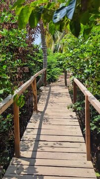 Senderos, naturaleza y playas del parque Tayrona de Colombia
