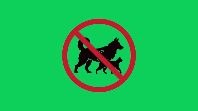 No pets allowed warning sign featuring a silhouette of a dog and a cat walking together inside a forbidden red circle for a public area motion graphic video animation clip
