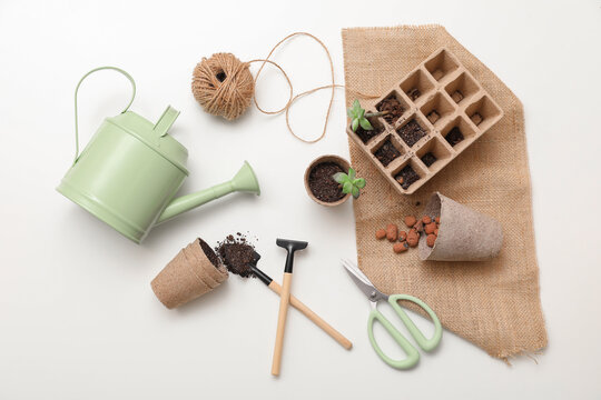 Gardening tools with seedling on white background. Top view