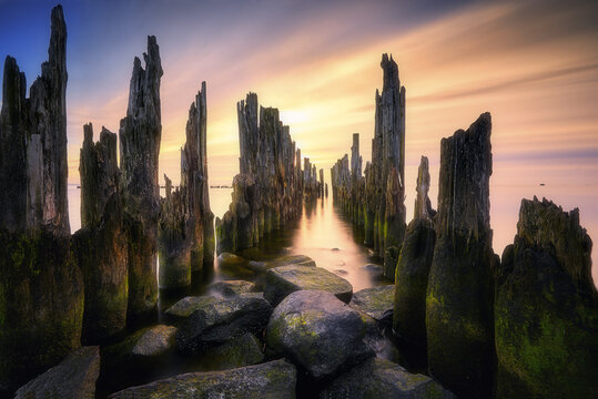 View of the historic wooden pilings of the Torpedownia ruins at sunset with calm water and mossy rocks in Gdynia, Pomeranian Voivodeship, Poland.