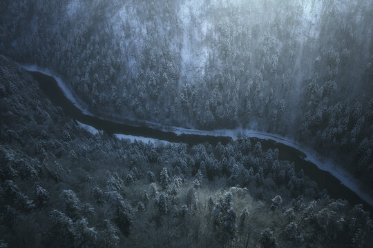 View of the Dunajec river gorge from Sokolica peak with snow-covered pine trees during winter in Nowy Targ County, Lesser Poland Voivodeship, Poland.