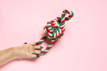 Naklejka premium French bulldog's paw with toy on pink background, top view