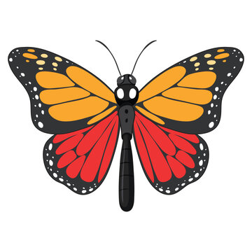 vector