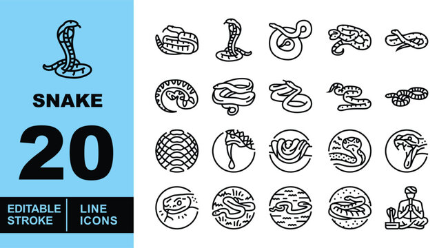 Snake Line Icon Set. Cobra, Viper, Reptile, Serpent, Python, Venom, Fang, Rattlesnake, Ananaconda, Predator, Wildlife, Herpetology, Charmer, Attack, Scale, Danger, Wild, Poison, Constrictor, Coil.