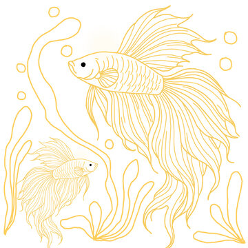 Golden Line Art Betta Fish with Seaweed and Bubbles