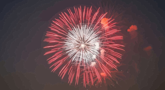 Fireworks exploding in the night sky.