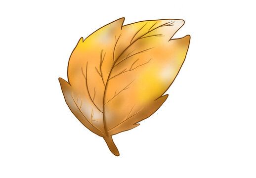 yellow leaf isolated on white