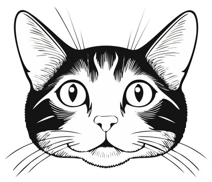 Detailed Ink Illustration of a Domestic Cat's Face, Featuring Whiskers and Stripped Pattern